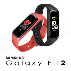 Samsung Galaxy Fit 2 (SM-R220)